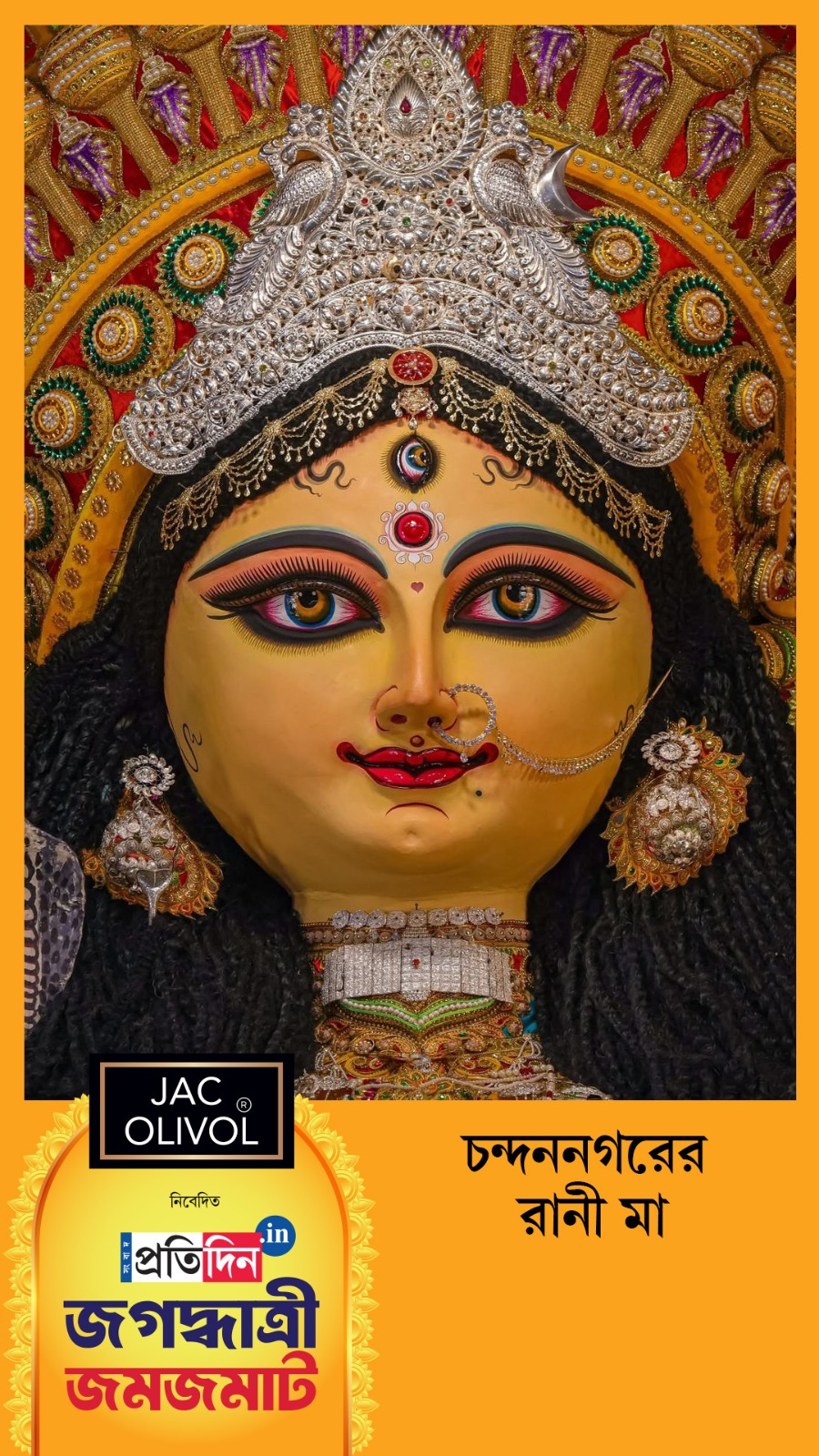 Jagaddhatri Jamjamat 2025 | সেজে উঠেছে চন্দননগরের রানী মা। রইল Exclusive ফার্স্ট লুক।